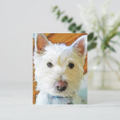 West Highland White Terrier die naar jou kijkt Briefkaart (Staand voorkant)