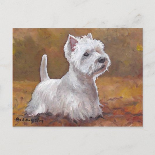 West Highland White Terrier Dog Art Briefkaart (Voorkant)