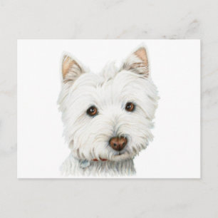 West Highland White Terrier Dog Briefkaart