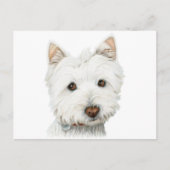 West Highland White Terrier Dog Briefkaart (Voorkant)