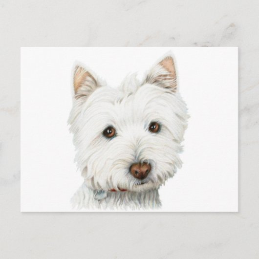 West Highland White Terrier Dog Briefkaart (Voorkant)