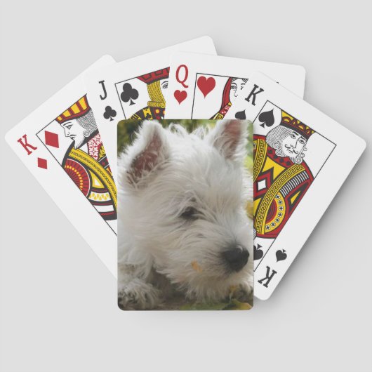 West Highland White Terrier Dog Playing Cards Speelkaarten (Achterkant)