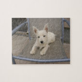 West Highland White Terrier Dog Puzzle Legpuzzel (Horizontaal)