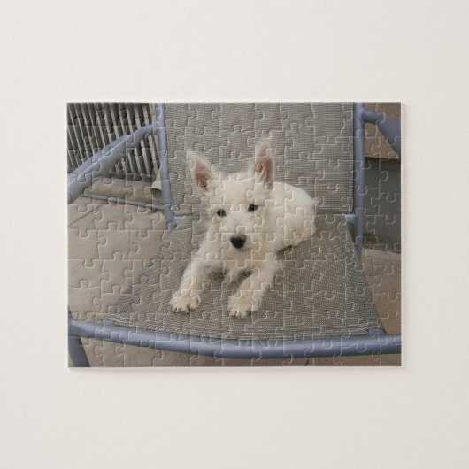West Highland White Terrier Dog Puzzle Legpuzzel (Horizontaal)
