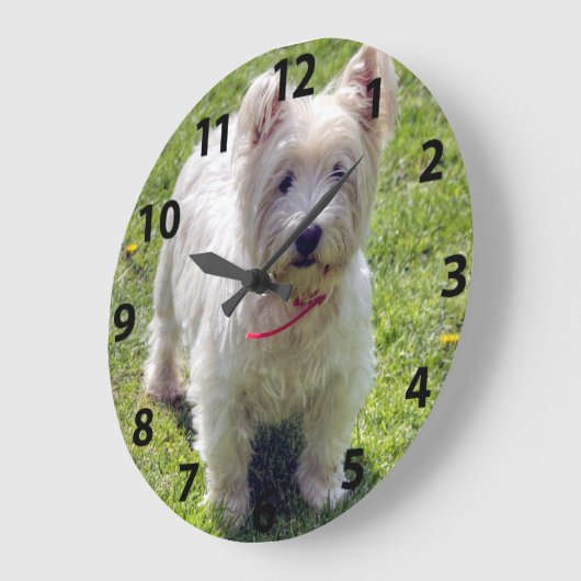 West Highland White Terrier Grote Klok (Hoek)