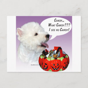West Highland White Terrier Halloween Snoep Briefkaart
