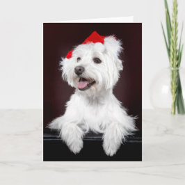 West Highland White Terrier Kaart