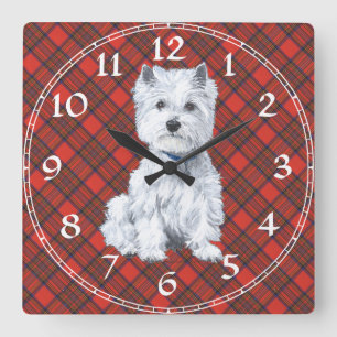 West Highland White Terrier Klok