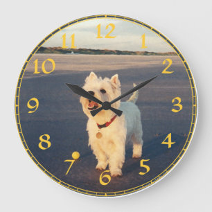 West Highland White Terrier Klok
