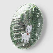 West Highland White Terrier Klok (Hoek)