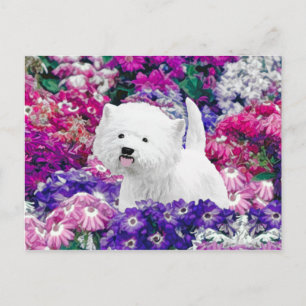 West Highland White Terrier Painting Dog Art Briefkaart