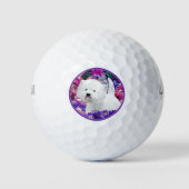 West Highland White Terrier Painting Dog Art Golfballen (Voorkant)