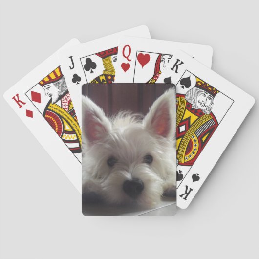 West Highland White Terrier Paring Cards Pokerkaarten (Achterkant)