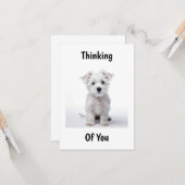 West Highland white terrier pup zittend nadenkend Kaart (Voorkant / Achterkant in situ)