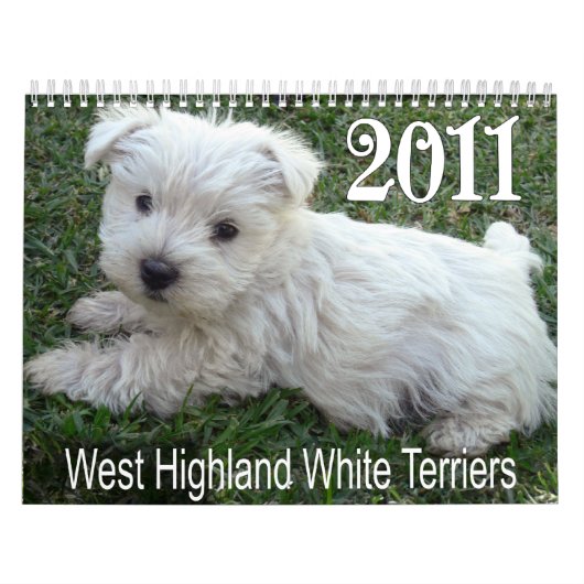 West Highland White Terrier Puppies Calendar 2011 Kalender (Hoes)