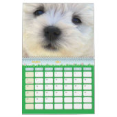 West Highland White Terrier Puppies Calendar 2011 Kalender (Mar 2026)