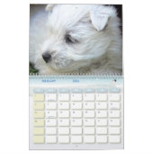 West Highland White Terrier Puppies Calendar 2011 Kalender (Feb 2026)