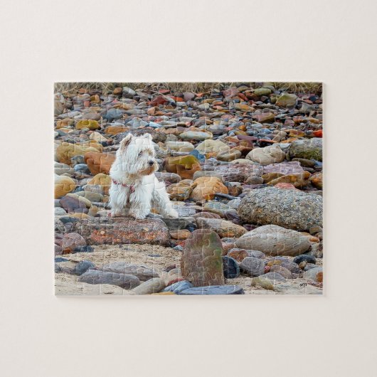 West Highland White Terrier-puzzel Legpuzzel (Horizontaal)