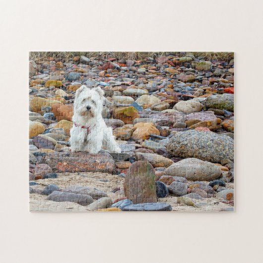 West Highland White Terrier-puzzel Legpuzzel (Horizontaal)