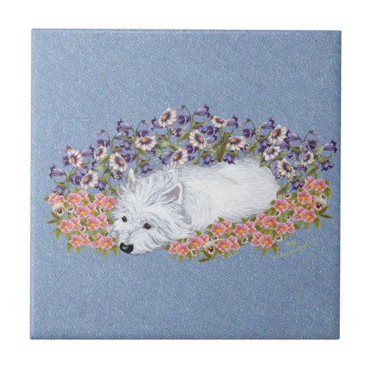 West Highland White Terrier Repose Tegeltje (Voorkant)