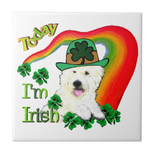 West Highland White Terrier St Pats Tegeltje (Voorkant)