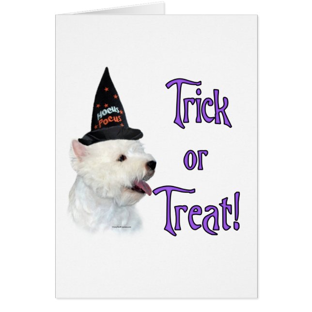 West Highland White Terrier truc (Voorkant)
