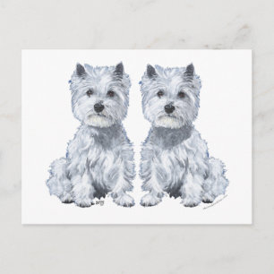 West Highland White Terrier Twins. Briefkaart