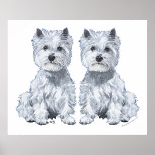 West Highland White Terrier Twins. Poster