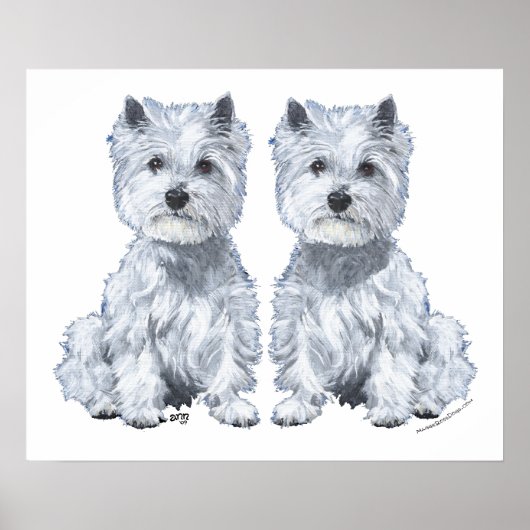 West Highland White Terrier Twins. Poster (Voorkant)