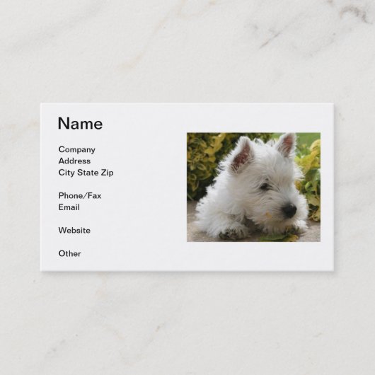 West Highland White Terrier Visitekaartje (Voorkant)