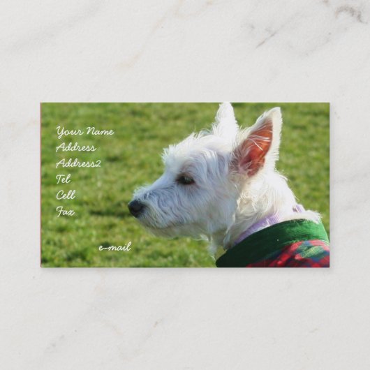 West Highland White Terrier visitekaartjes (Voorkant)