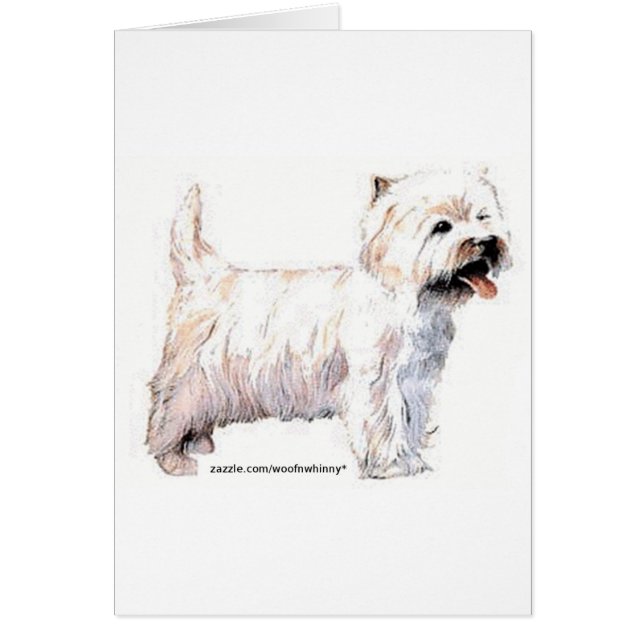 West Highland White Terriers (Voorkant)