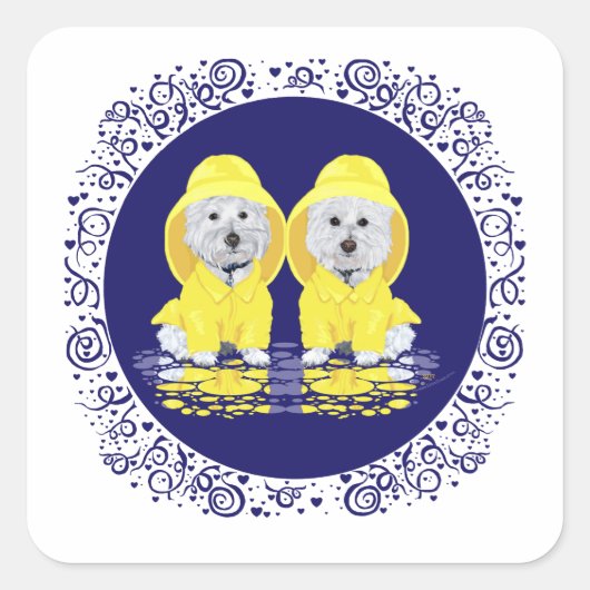 West Highland White Terriers Regen Vierkante Sticker (Voorkant)