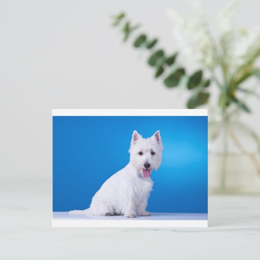 West Highland Witte Puppy Hond Briefkaart (Staand voorkant)