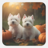 West Highland Witte Terriër Puppy Herfst Pompoen Vierkante Sticker (Voorkant)