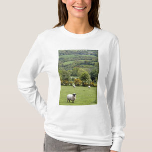 West-Ierland, Dingle-schiereiland, breed T-shirt