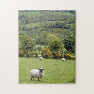 West-Ierland, Dingle-schiereiland Legpuzzel
