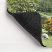 West-Ierland, schiereiland Dingle, breed Muismat (Hoek)