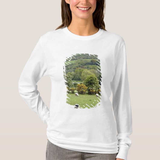 West-Ierland, schiereiland Dingle, breed T-shirt (Voorkant)