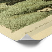 West Indies Crocodile Natural History Print (Hoek)