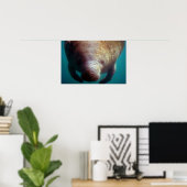 West-Indische (Florida) Manatee-underwater Poster (Thuiskantoor)