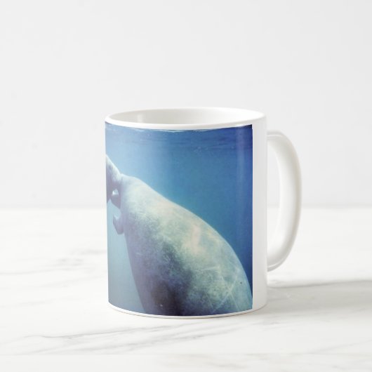 West-Indische manatee Koffiemok (Voorkant rechts)