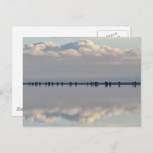 West Kirby Marina Briefkaart (Voorkant / Achterkant)