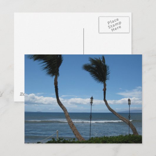 West-Maui Palms Briefkaart (Voorkant / Achterkant)