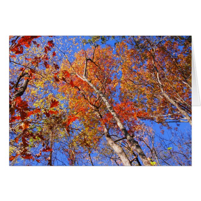 West Mt. Autumn Hot Springs National Park Gifts (Voorkant Horizontaal)