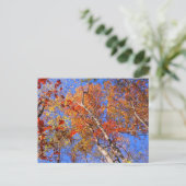 West Mt. Autumn Hot Springs National Park Gifts Briefkaart (Staand voorkant)