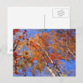 West Mt. Autumn Hot Springs National Park Gifts Briefkaart (Voorkant / Achterkant)