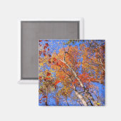 West Mt. Autumn Hot Springs National Park Gifts Magneet (Voorkant / Achterkant)