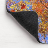 West Mt. Autumn Hot Springs National Park Gifts Muismat (Hoek)