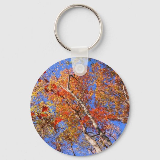 West Mt. Autumn Hot Springs National Park Gifts Sleutelhanger (Voorkant)